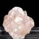 Beryl var. Morganite (very early 1900s) - image 5