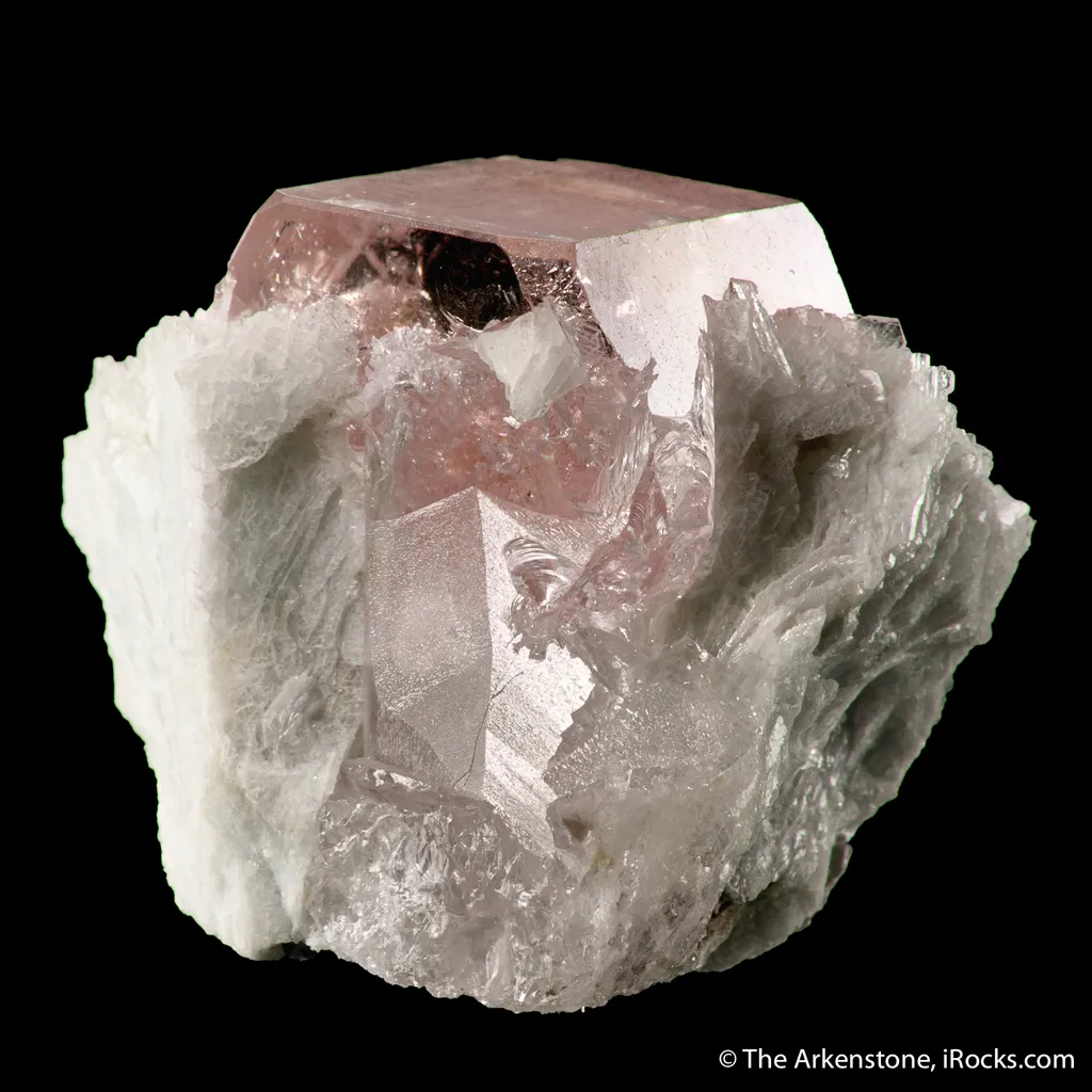 Beryl var. Morganite with Albite image