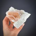 Beryl var. Morganite with Cleavelandite - image 1