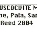 Beryl var. Morganite with Muscovite - image 5