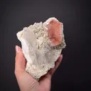 Beryl var. Morganite with Quartz and Albite - image 1