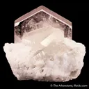 Beryl var. Morganite with Quartz, Elbaite & Albite - image 1
