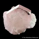 Beryl var. Morganite with Quartz, Elbaite & Albite - image 5