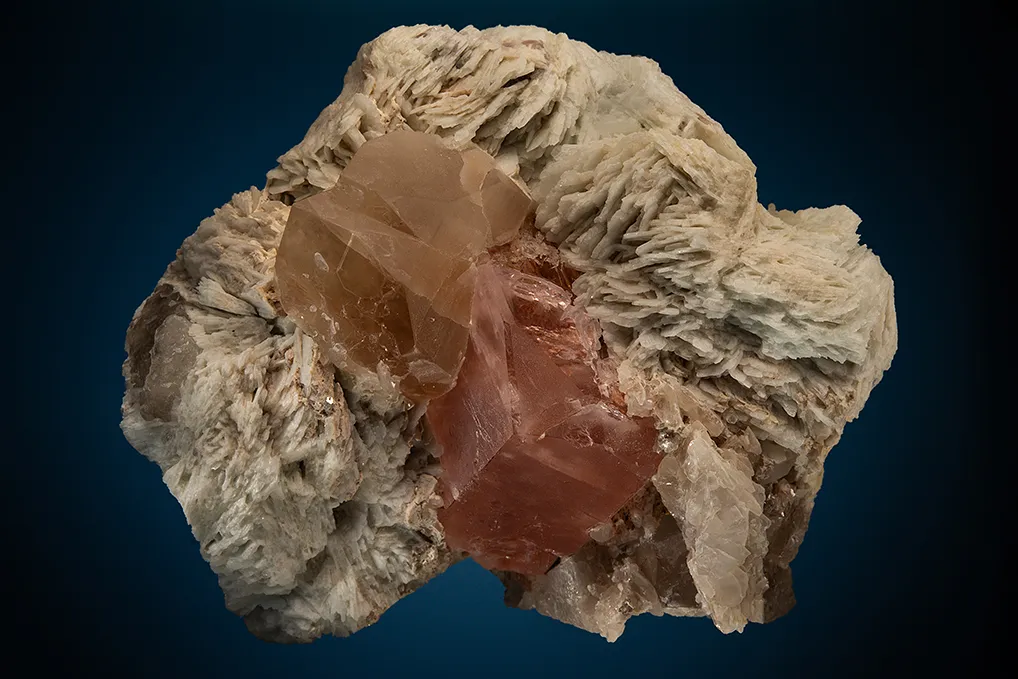 Beryl var. Morganite with Quartz on Albite var. Cleavelandite image