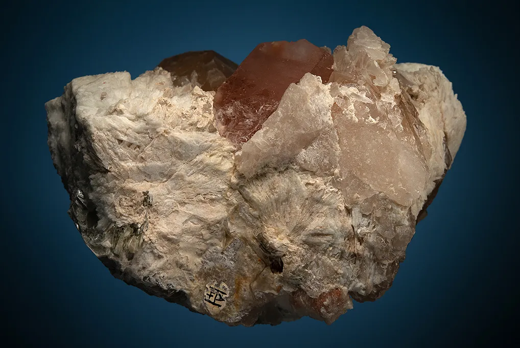Beryl var. Morganite with Quartz on Albite var. Cleavelandite - image 5