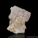 Beryl var. Morganite with Topaz, Muscovite and Albite - image 3