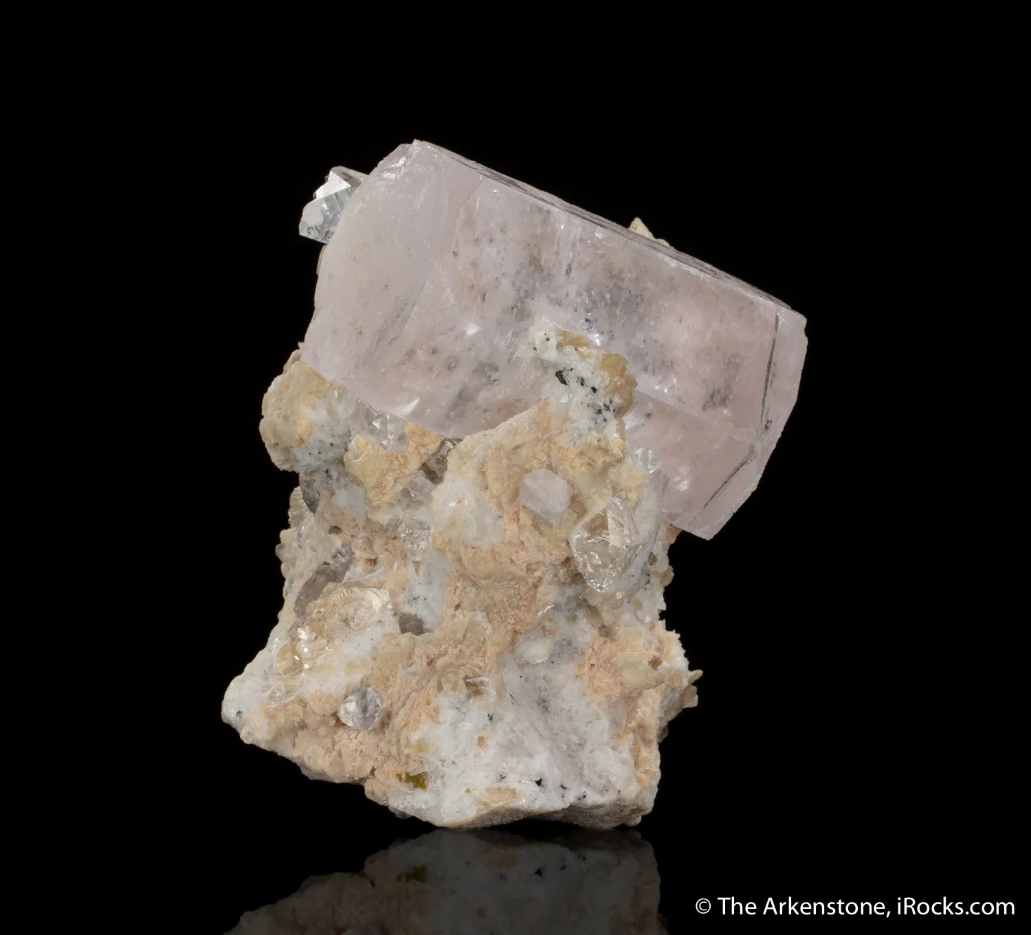 Beryl var. Morganite with Topaz, Muscovite and Albite - image 3