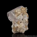 Beryl var. Morganite with Topaz, Muscovite and Albite - image 2
