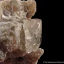 Beryl var. Morganite with Topaz, on Muscovite - image 6