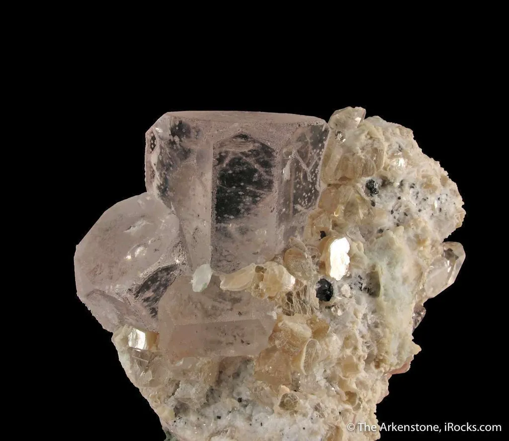 Beryl var. Morganite with Topaz, on Muscovite - image 2