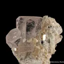Beryl var. Morganite with Topaz, on Muscovite - image 2