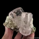 Beryl var. Morganite with Topaz, on Muscovite - image 1