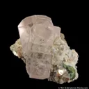 Beryl var. Morganite with Topaz, on Muscovite - image 4