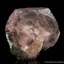 Beryl var. Morganite with Tourmaline - image 4