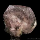 Beryl var. Morganite with Tourmaline - image 3