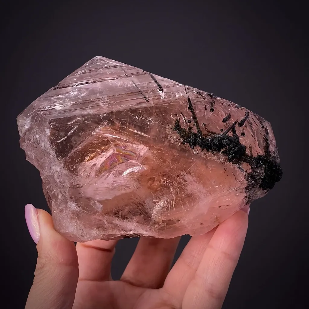 Beryl var. Morganite with Tourmaline image