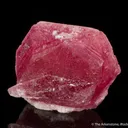 Beryl var. Pezzottaite - image 2