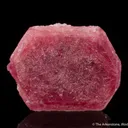 Beryl var. Pezzottaite - image 5