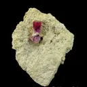 Beryl var. Red Beryl - image 2