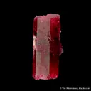 Beryl var. Red Beryl - image 1