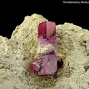 Beryl var. Red Beryl - image 3