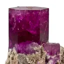 Beryl Var. Red Beryl - image 3