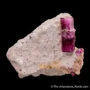 Beryl var. Red Beryl - image 5