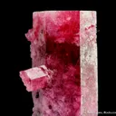 Beryl var. Red Beryl - image 2