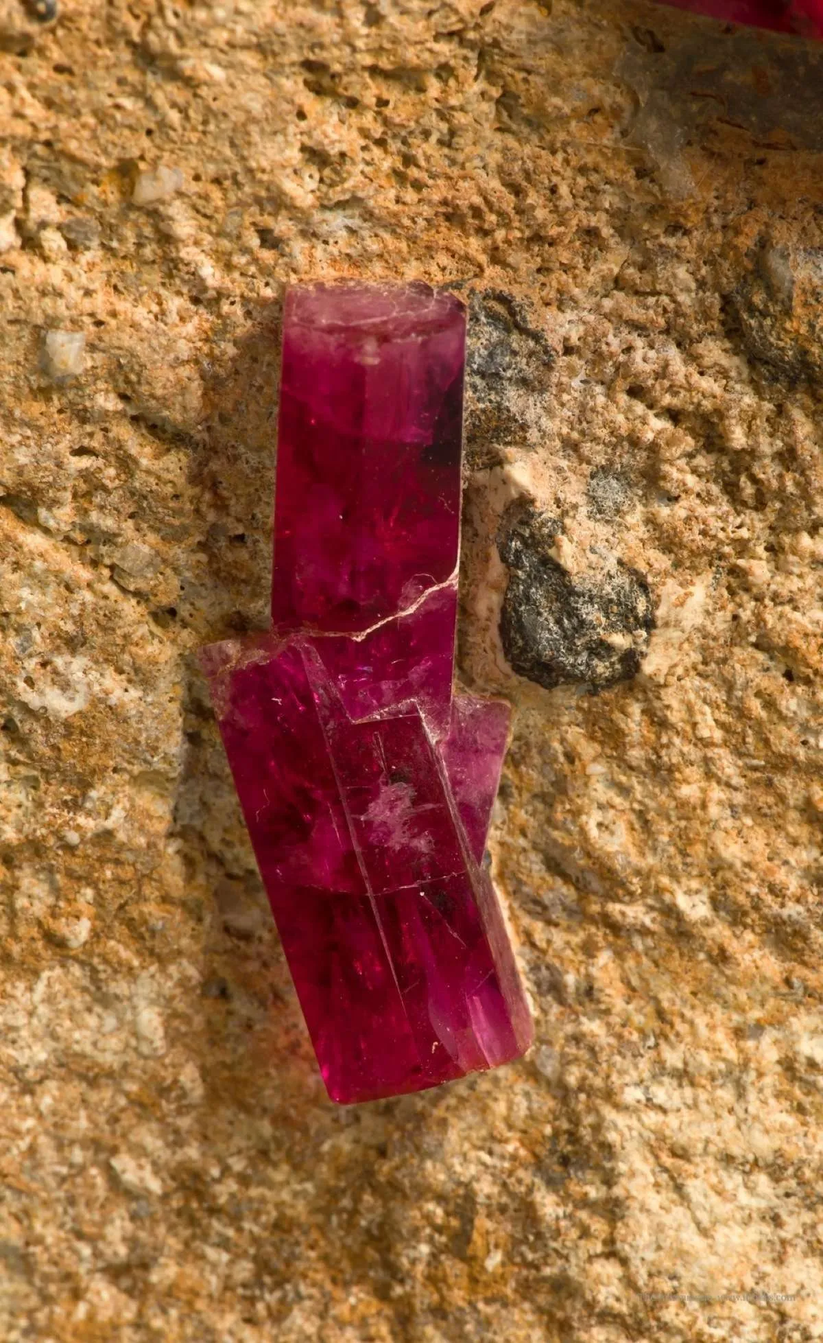 Beryl Var. Red Beryl - image 5
