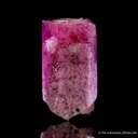 Beryl var. Red Beryl - image 1