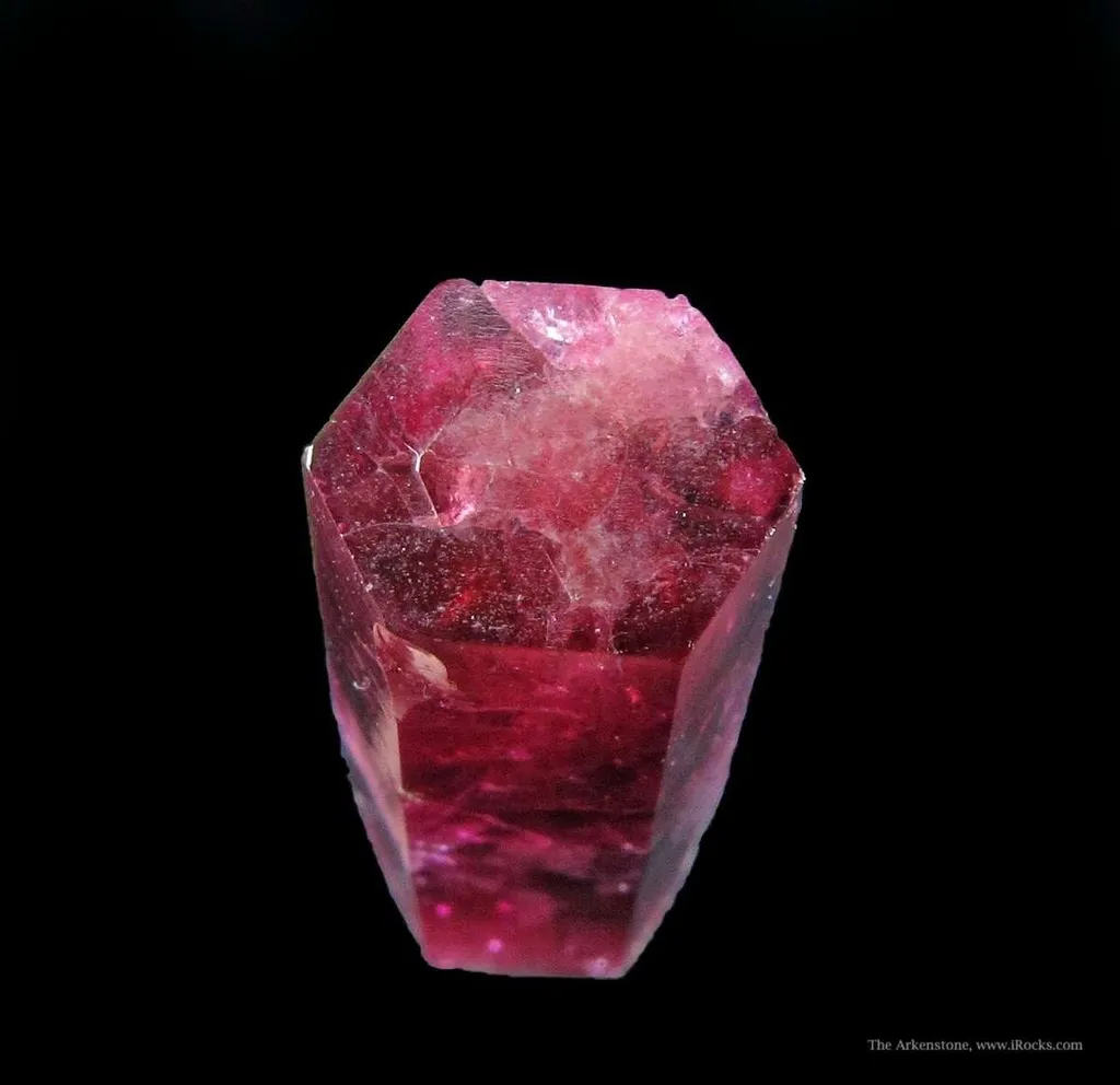 Beryl Var. Red (Dt) - image 2