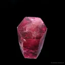 Beryl Var. Red (Dt) - image 2
