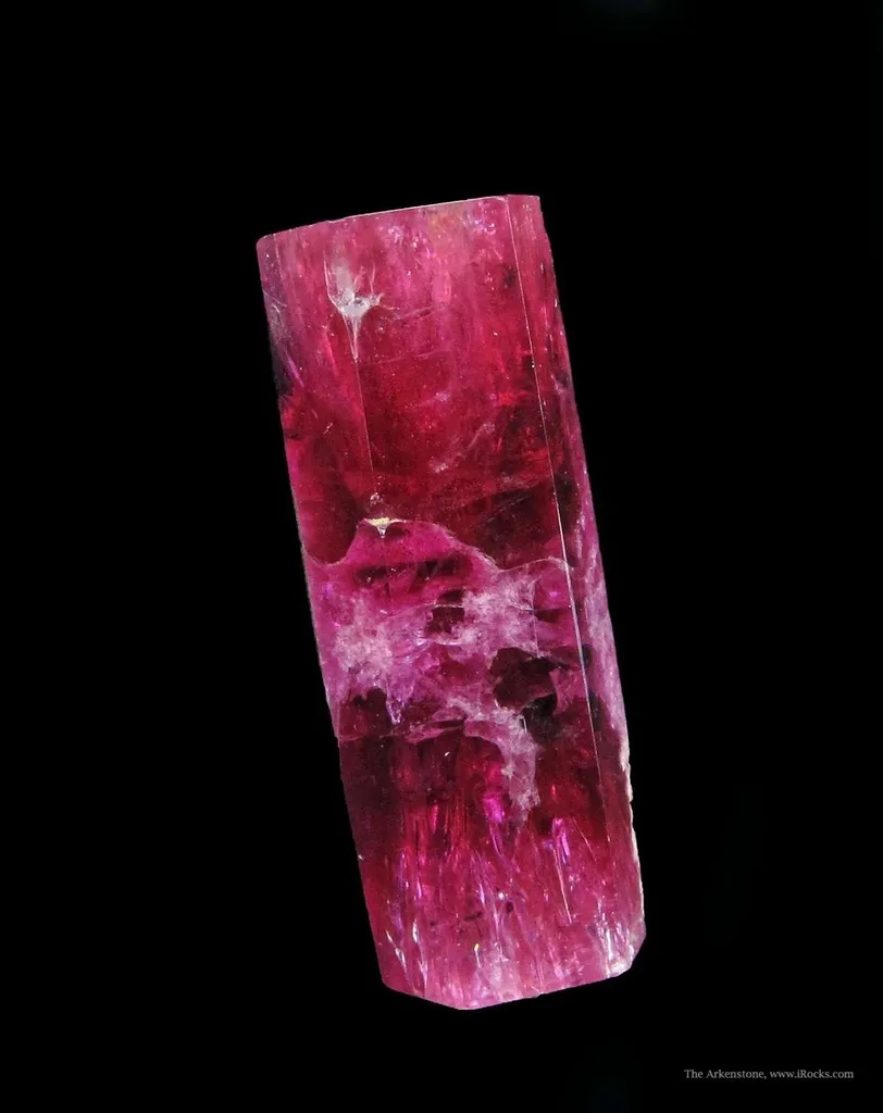 Beryl Var. Red (Dt) - image 4