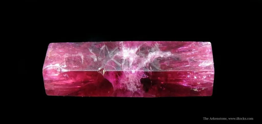 Beryl Var. Red (Dt) - image 3