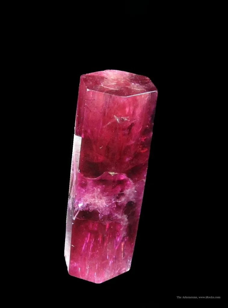 Beryl Var. Red (Dt) image