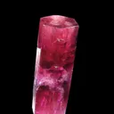 Beryl Var. Red (Dt) - image 1