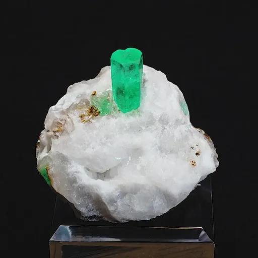 specimen video