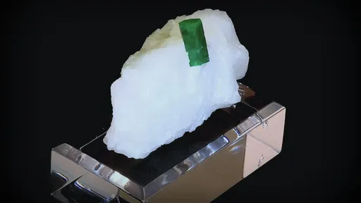 specimen video