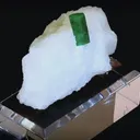 specimen video