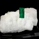 Beryl variety Emerald on Calcite - image 1