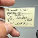 Beryl with Muscovite, Albite (2807) - image 2