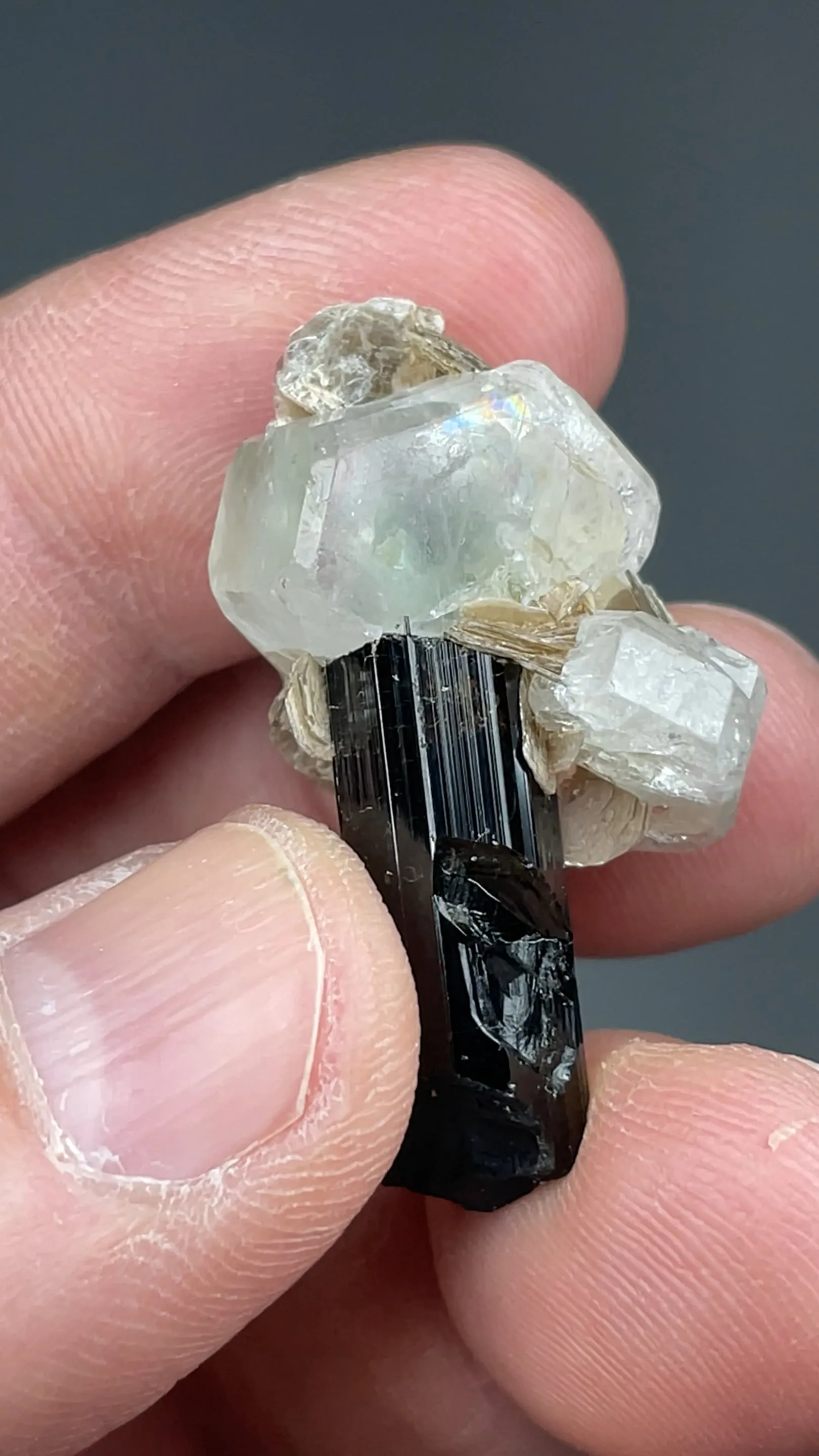 Beryl with Schorl, Muscovite - image 2