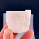 specimen video