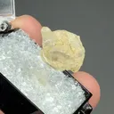 Beryllonite from Stoneham, Colorado, USA - image 2