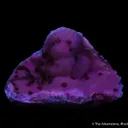 Beta-Roselite on Quartz with Cobaltoan Calcite - image 4