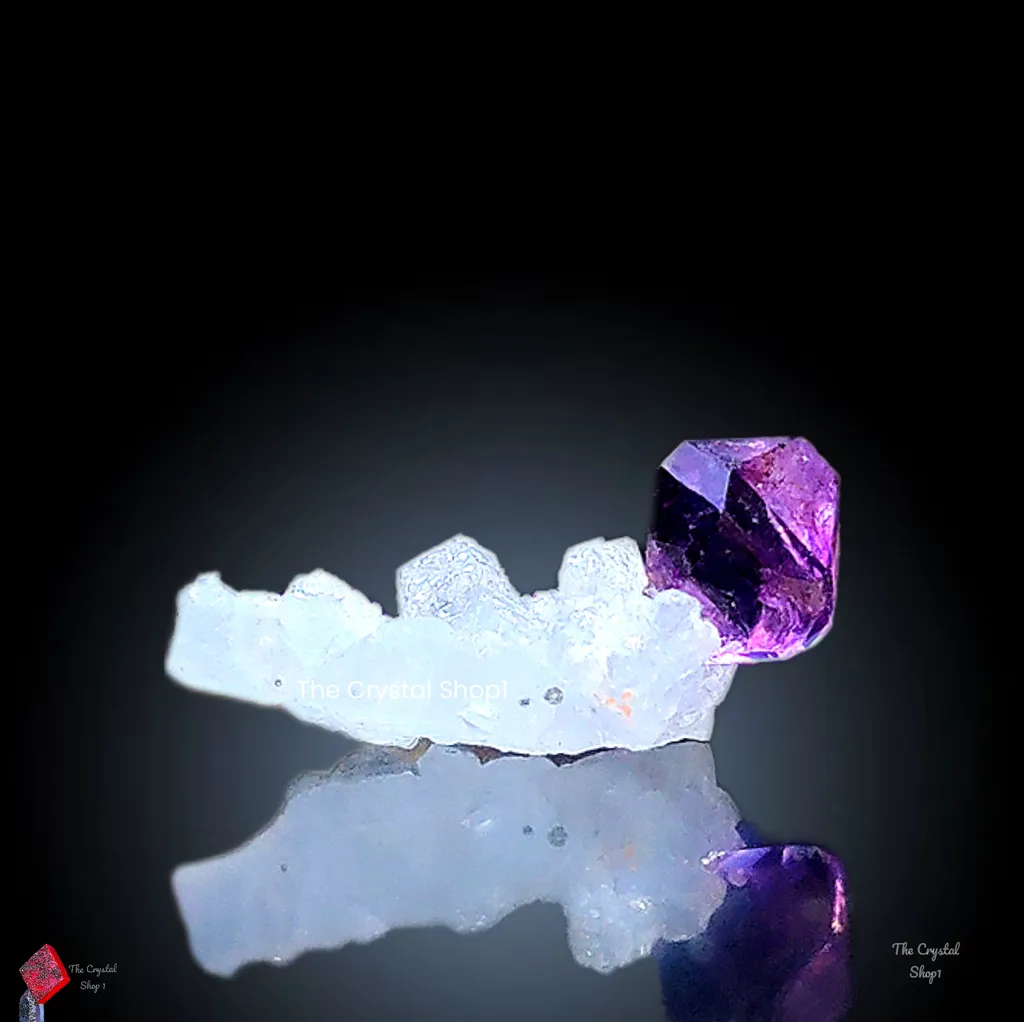 Beutiful specimen of Karur Amethyst Sceptre on Quartz - image 2