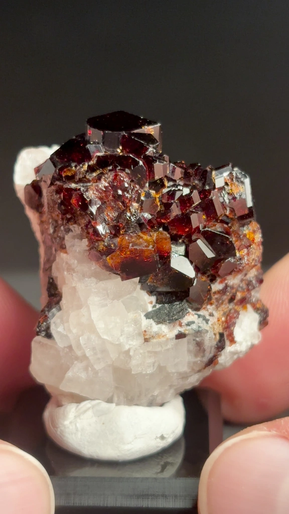 specimen video