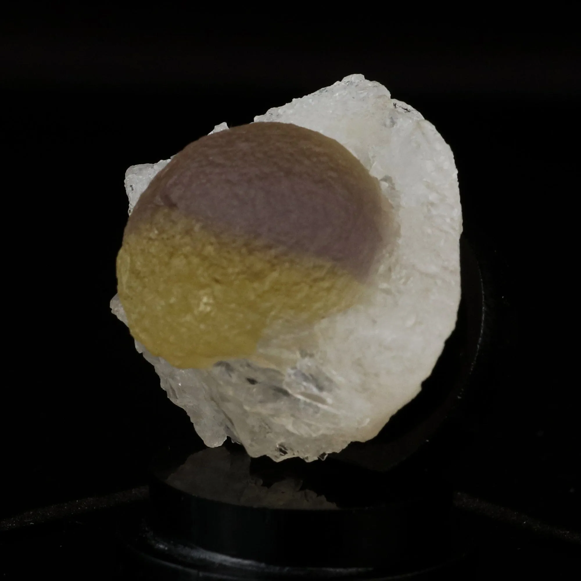 Bi Color Botryoidal Fluorite on MM Quartz Very Rare Natural Mineral Specimen - image 2