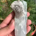 specimen video