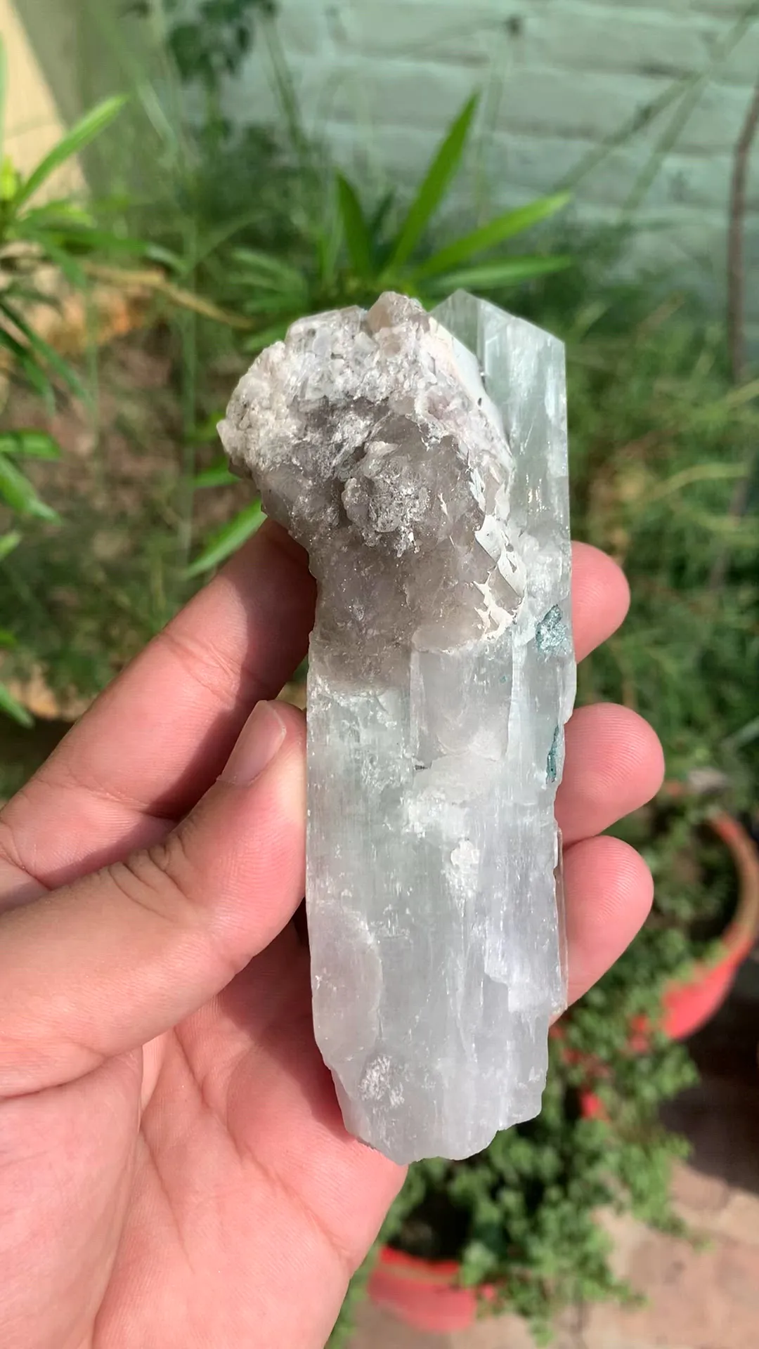 specimen video